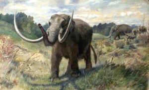 Life reconstruction of American Mastodons  - Charles Robert Knight